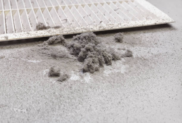 Best HVAC Maintenance and Cleaning  in Peshtigo, WI