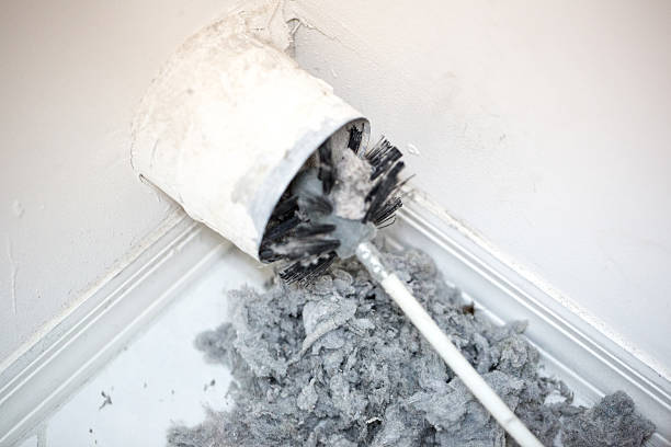 Best Dryer Vent Cleaning Services  in Peshtigo, WI
